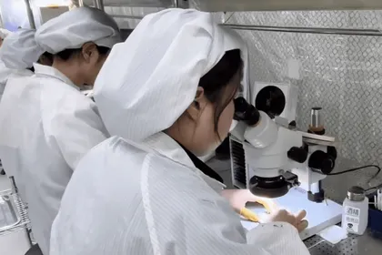 Optical inspection in the laboratory